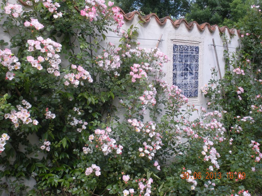 Moulin De Larcy Villa Riberac Exterior photo